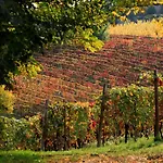 Cascina Tre Botti アリアーノ・テルメ