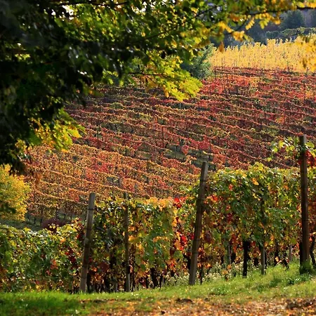 Cascina Tre Botti Agliano Terme