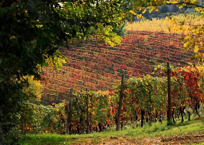 Cascina Tre Botti Agliano Terme